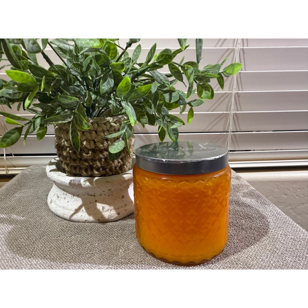 Gold Canyon Candles Med 16oz Citrus Grove Highly Scented Candle  Hard to Find